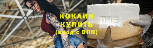 ПСИЛОЦИБИНОВЫЕ ГРИБЫ Валдай