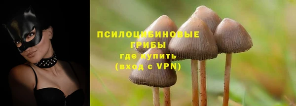 кристаллы Новозыбков