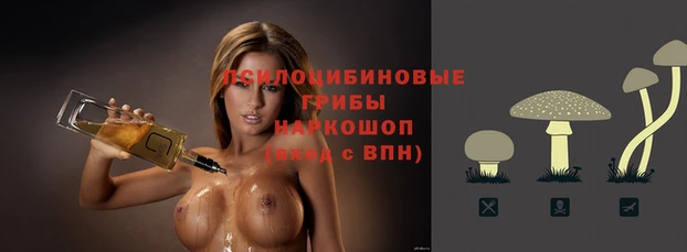 сатива Новодвинск