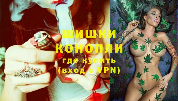 стаф Валуйки