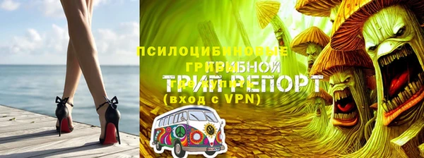 apvp Володарск