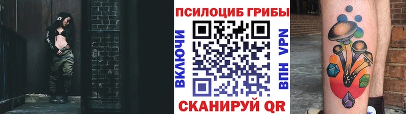 как найти   mega как зайти  Галлюциногенные грибы GOLDEN TEACHER  Североморск 
