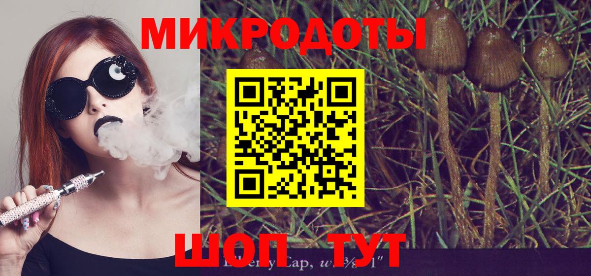 Североморск  Псилоцибиновые грибы GOLDEN TEACHER  Вход с VPN  Псилоцибиновые грибы Psilocybine cubensis 
